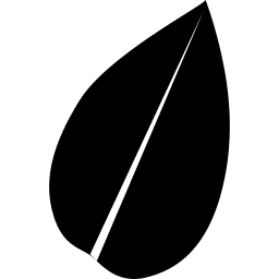 Leaflet